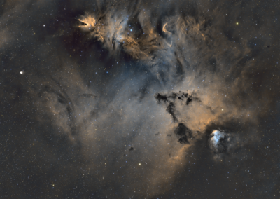 The Christmas Tree Cluster – Widefield