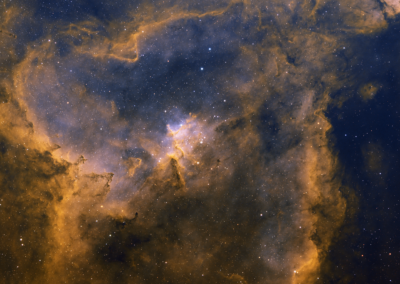 The Heart Nebula