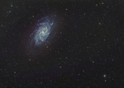 Triangulum Galaxy (M33)